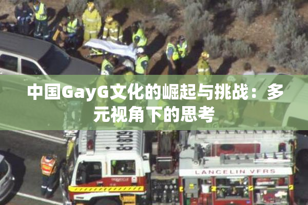 中国GayG文化的崛起与挑战：多元视角下的思考