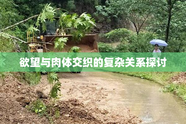 欲望与肉体交织的复杂关系探讨