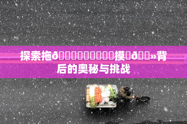 探索拖👙❌‌❌‌❌‌摸‌🐻背后的奥秘与挑战