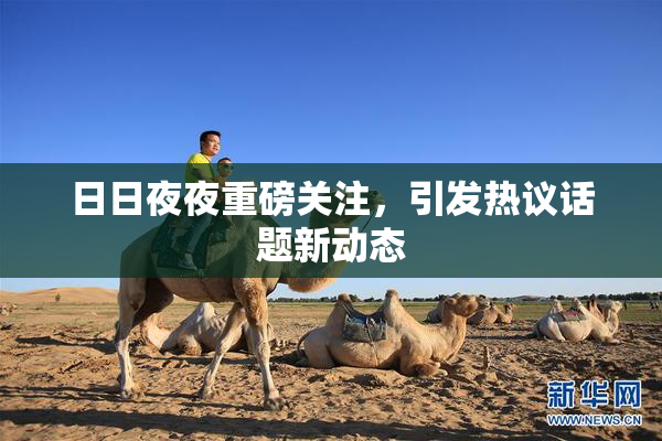 日日夜夜重磅关注，引发热议话题新动态