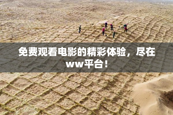 免费观看电影的精彩体验，尽在ww平台！