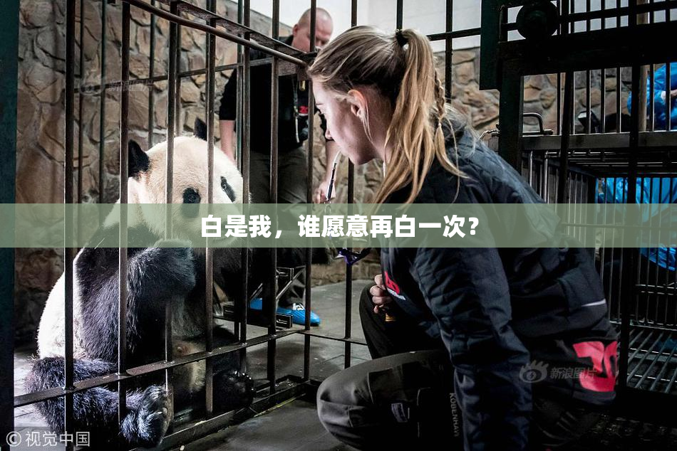 白是我，谁愿意再白一次？