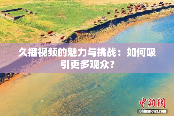久播视频的魅力与挑战：如何吸引更多观众？
