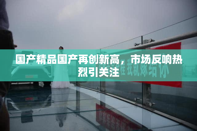 国产精品国产再创新高，市场反响热烈引关注