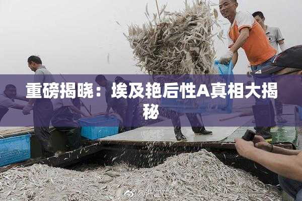 重磅揭晓：埃及艳后性A真相大揭秘