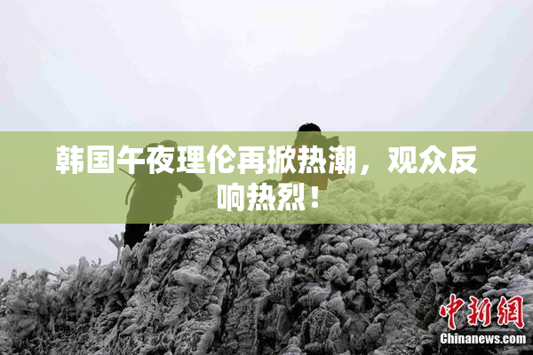 韩国午夜理伦再掀热潮，观众反响热烈！