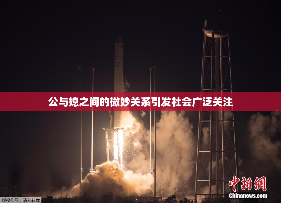 公与媳之间的微妙关系引发社会广泛关注