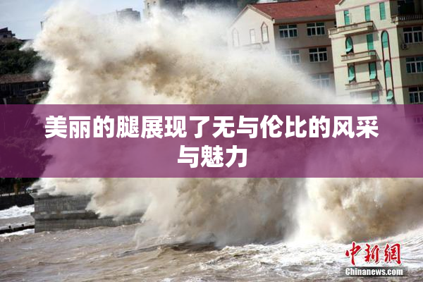 美丽的腿展现了无与伦比的风采与魅力