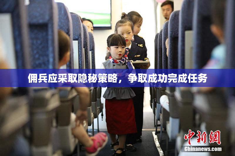 佣兵应采取隐秘策略，争取成功完成任务