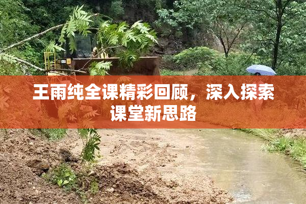 王雨纯全课精彩回顾，深入探索课堂新思路