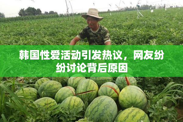 韩国性爱活动引发热议，网友纷纷讨论背后原因
