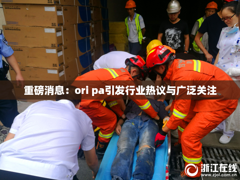 重磅消息：ori pa引发行业热议与广泛关注