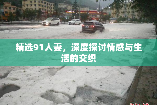 精选91人妻，深度探讨情感与生活的交织
