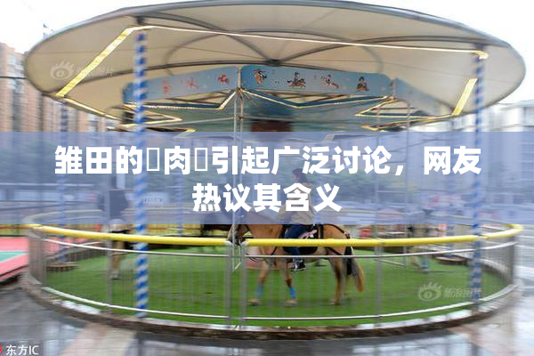 雏田的婬肉泬引起广泛讨论，网友热议其含义