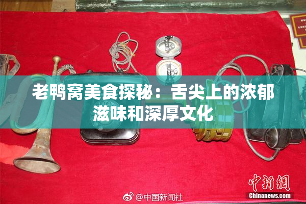 老鸭窝美食探秘：舌尖上的浓郁滋味和深厚文化