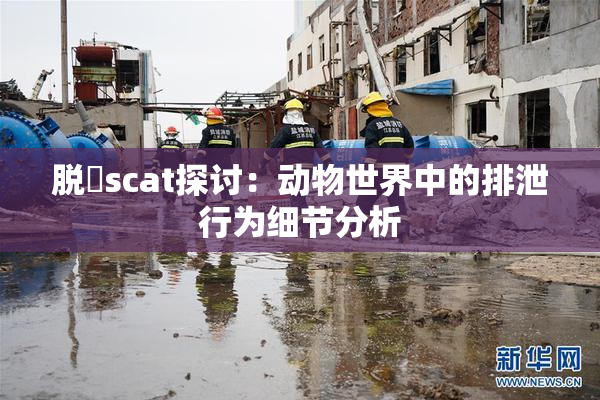 脱糞scat探讨：动物世界中的排泄行为细节分析