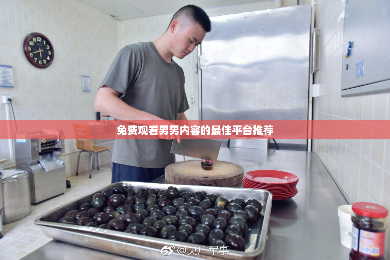 免费观看男男内容的最佳平台推荐