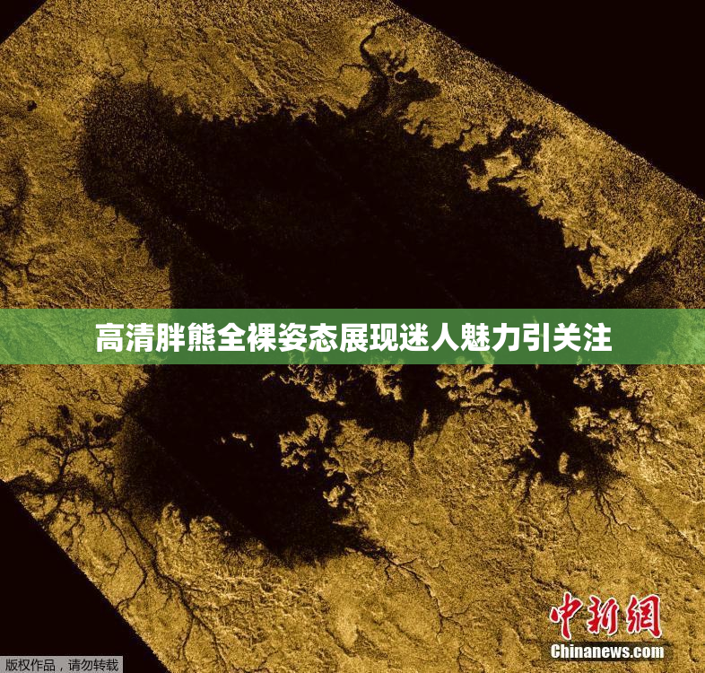 高清胖熊全裸姿态展现迷人魅力引关注