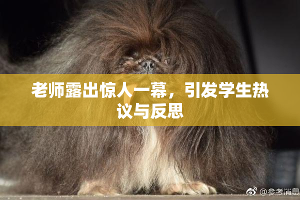 老师露出惊人一幕，引发学生热议与反思