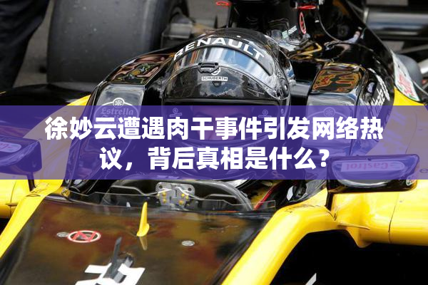 徐妙云遭遇肉干事件引发网络热议，背后真相是什么？