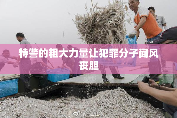 特警的粗大力量让犯罪分子闻风丧胆
