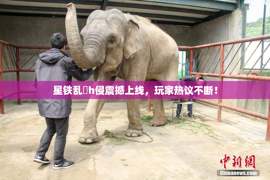 星铁乱婬h侵震撼上线，玩家热议不断！
