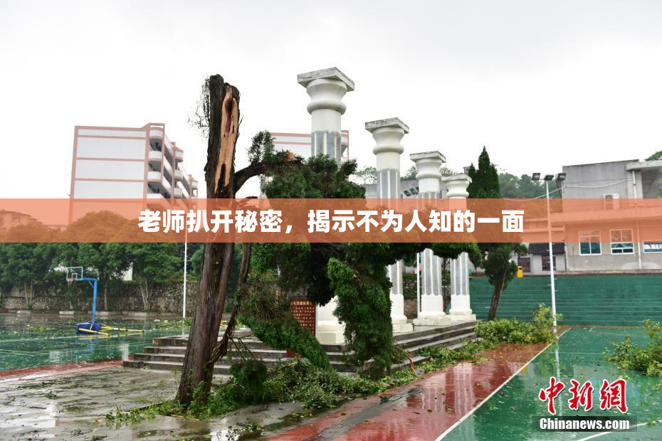 老师扒开秘密，揭示不为人知的一面