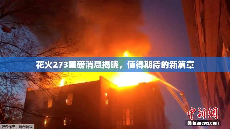 花火273重磅消息揭晓，值得期待的新篇章
