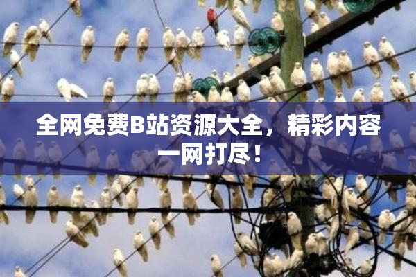 全网免费B站资源大全，精彩内容一网打尽！