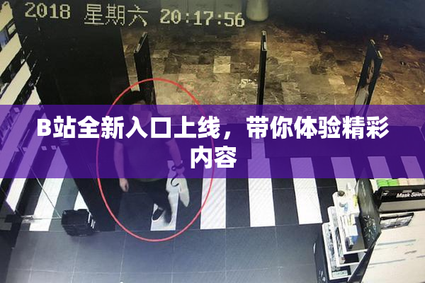 B站全新入口上线，带你体验精彩内容