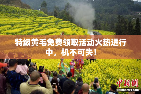 特级黄毛免费领取活动火热进行中，机不可失！