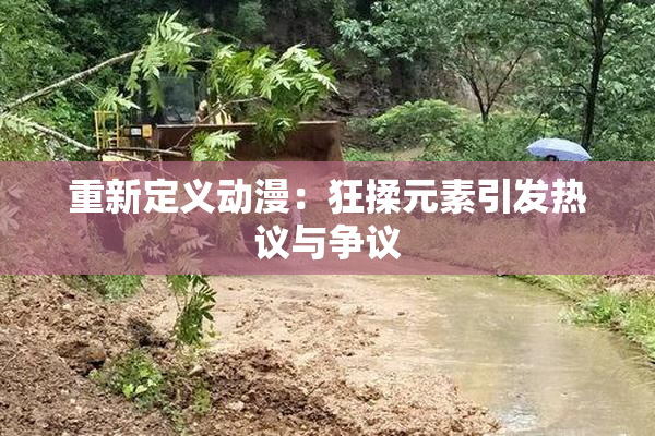 重新定义动漫：狂揉元素引发热议与争议