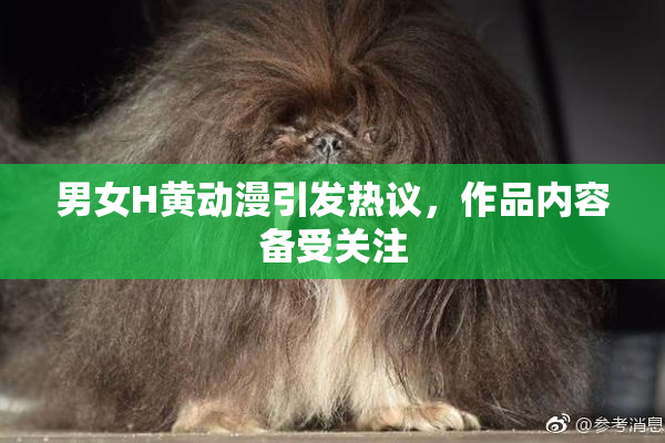 男女H黄动漫引发热议，作品内容备受关注