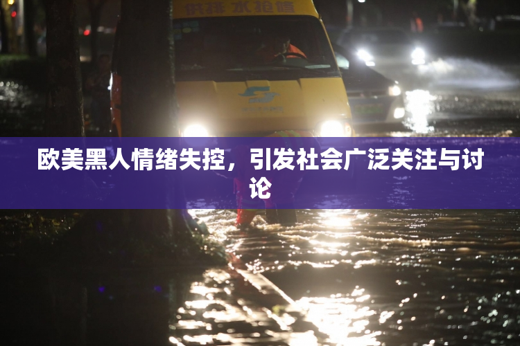 欧美黑人情绪失控，引发社会广泛关注与讨论