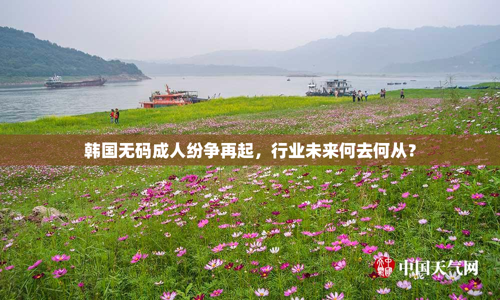 韩国无码成人纷争再起，行业未来何去何从？