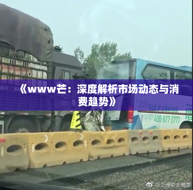 《www芒：深度解析市场动态与消费趋势》