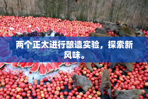 两个正太进行酿造实验，探索新风味。