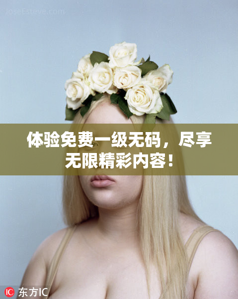 体验免费一级无码，尽享无限精彩内容！