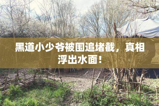 黑道小少爷被围追堵截，真相浮出水面！