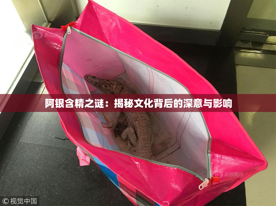 阿银含精之谜：揭秘文化背后的深意与影响