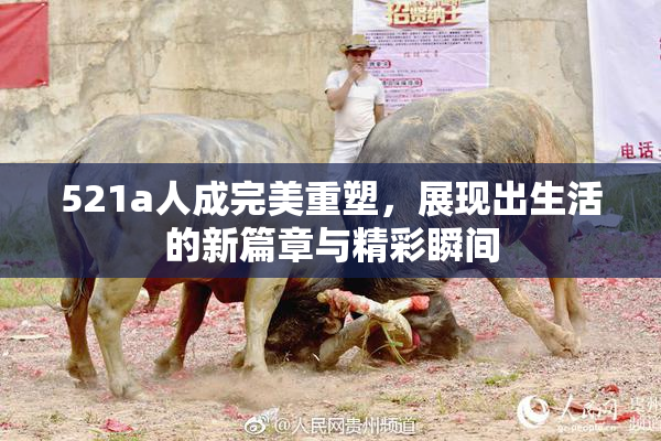 521a人成完美重塑，展现出生活的新篇章与精彩瞬间