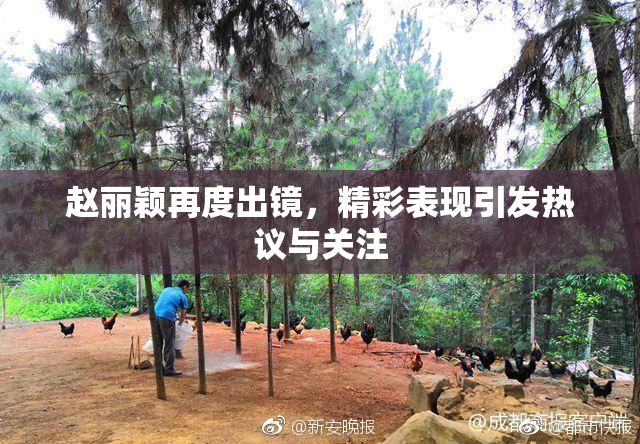 赵丽颖再度出镜，精彩表现引发热议与关注