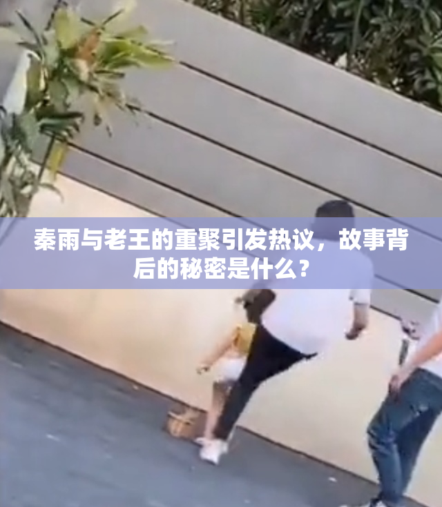 秦雨与老王的重聚引发热议，故事背后的秘密是什么？