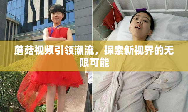 蘑菇视频引领潮流，探索新视界的无限可能
