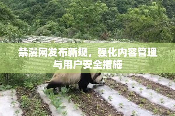 禁漫网发布新规，强化内容管理与用户安全措施