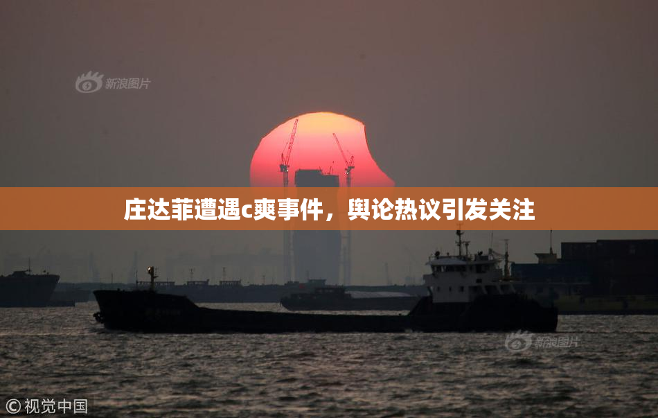 庄达菲遭遇c爽事件，舆论热议引发关注
