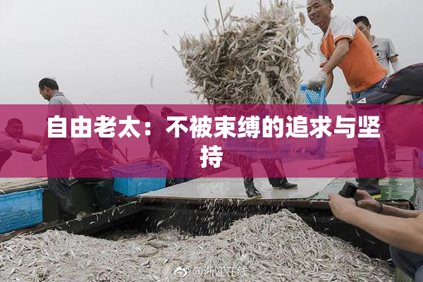 自由老太：不被束缚的追求与坚持
