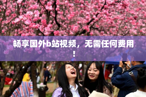 畅享国外b站视频，无需任何费用！