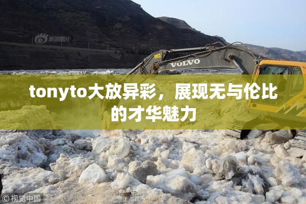 tonyto大放异彩，展现无与伦比的才华魅力