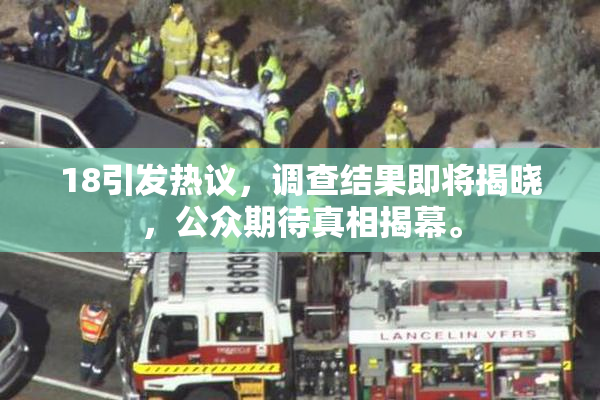 18引发热议，调查结果即将揭晓，公众期待真相揭幕。
